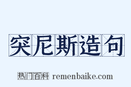 突尼斯造句是什么意思的图片